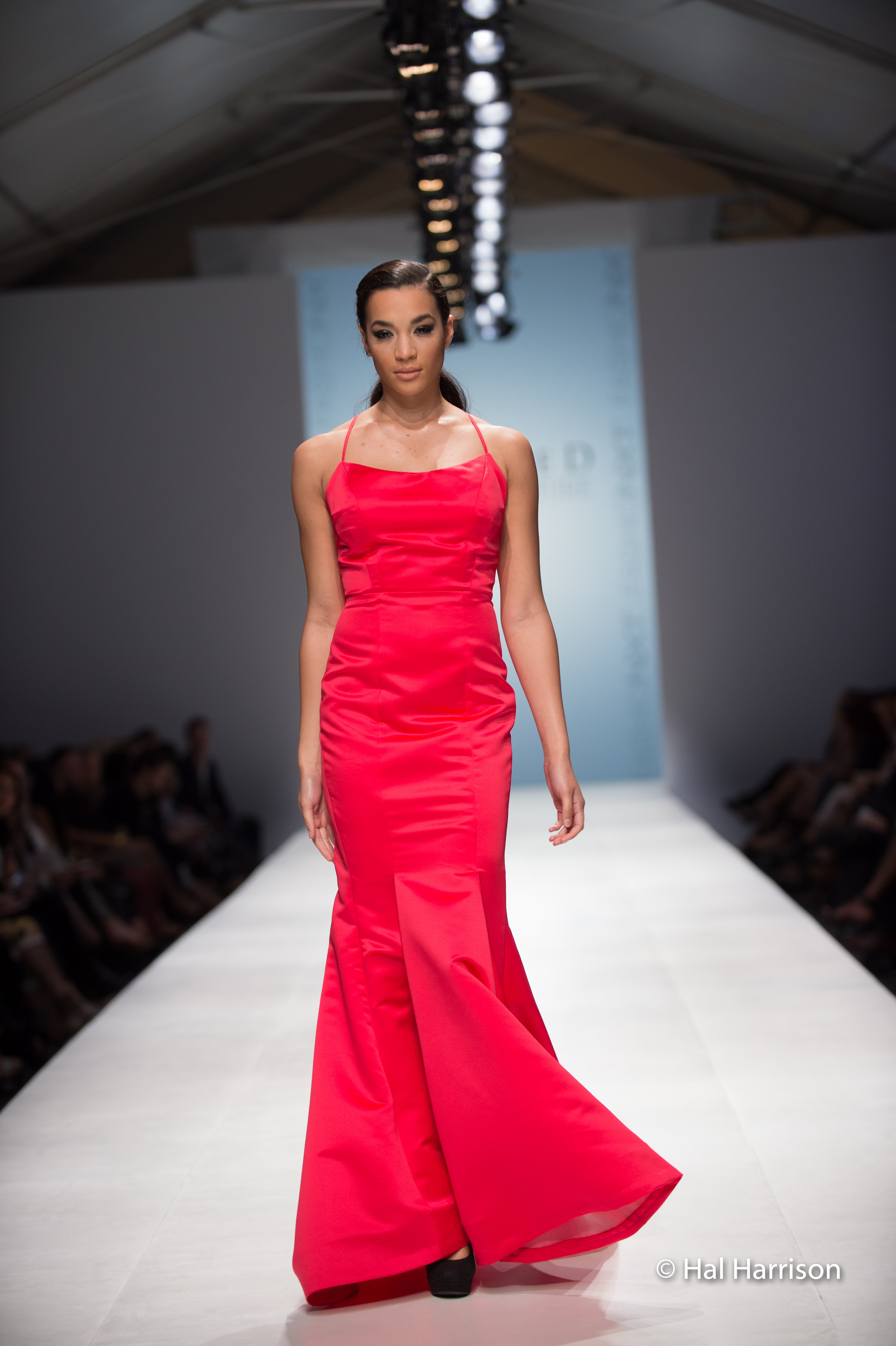 2015 Stephanie D Couture 1